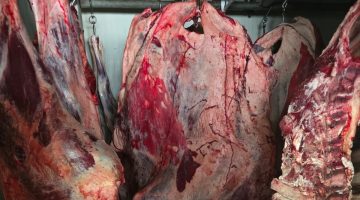 Hamitköy’de izinsiz ve sağlıksız koşullarda et kesen kişi ve ağıl sahibine ceza…