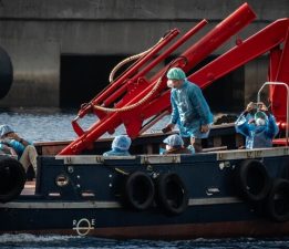 Hantavirüs görülen gemideki 6 yolcu Avustralya’da 3 hafta karantinaya alınacak