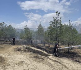 Haspolat – Güngör ana yolunun batısındaki ormanlık alanda yangın.. Soğutma sürüyor