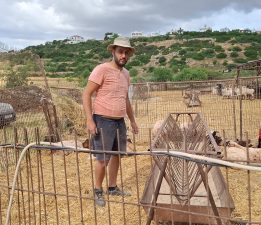 Hayvancılar Birliği Başkanı Onalt: “Başıboş köpeklerin saldırıları üreticiler için büyüyen bir sorun haline geldi”