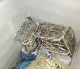 Hayvancılık Dairesi balık restoranlarını denetledi: 16 kilo balık imha edildi