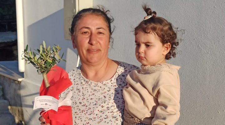 İskele Belediyesi, annelere, saksıda zeytin ağacı armağan ediyor