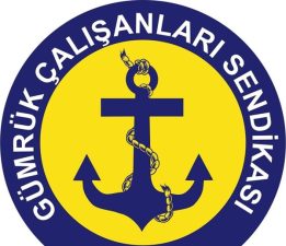 Kanatlı: “Ülkeye giren mallarla ilgili bazı uygulamalar ülke güvenliğini riske atıyor”