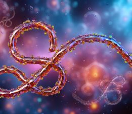 Nijerya, Ebola virüsü tehdidine karşı alarma geçti