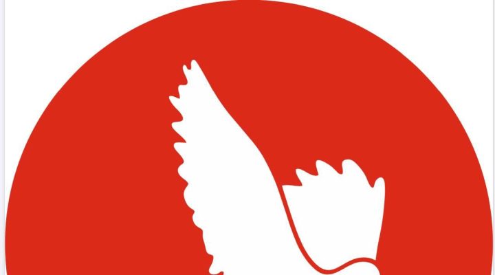 TDP, Ercan Havalimanı’ndaki embriyo olayının aydınlatılmasını istedi