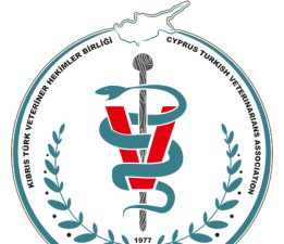 Veteriner Hekimler Birliği, kurban kesimi ve et tüketimiyle ilgili uyarılarda bulundu