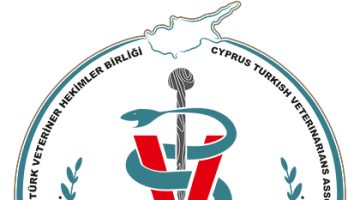 Veteriner Hekimler Birliği, kurban kesimi ve et tüketimiyle ilgili uyarılarda bulundu