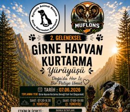 2.Geleneksel Girne Hayvan Kurtarma Yürüyüşü pazar günü düzenlenecek