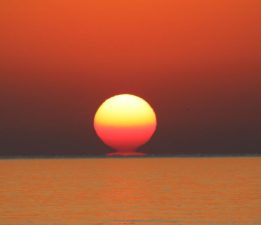 Dünya Meteoroloji Örgütü’nden El Nino uyarısı: “El Nino önümüzdeki aylarda yüzde 90 olasılıkla kapımıza dayanıyor”