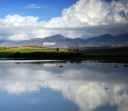 Ilık ve nemli hava etkili olacak…