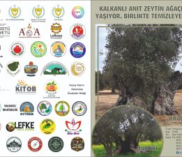 “Kalkanlı Anıt Zeytin Ağaçları Yaşıyor, Birlikte Temizleyelim” etkinliği perşembe günü düzenleniyor